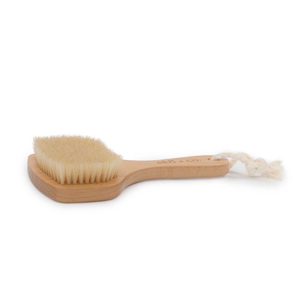 dry body brush (fan shaped) - boar bristles
