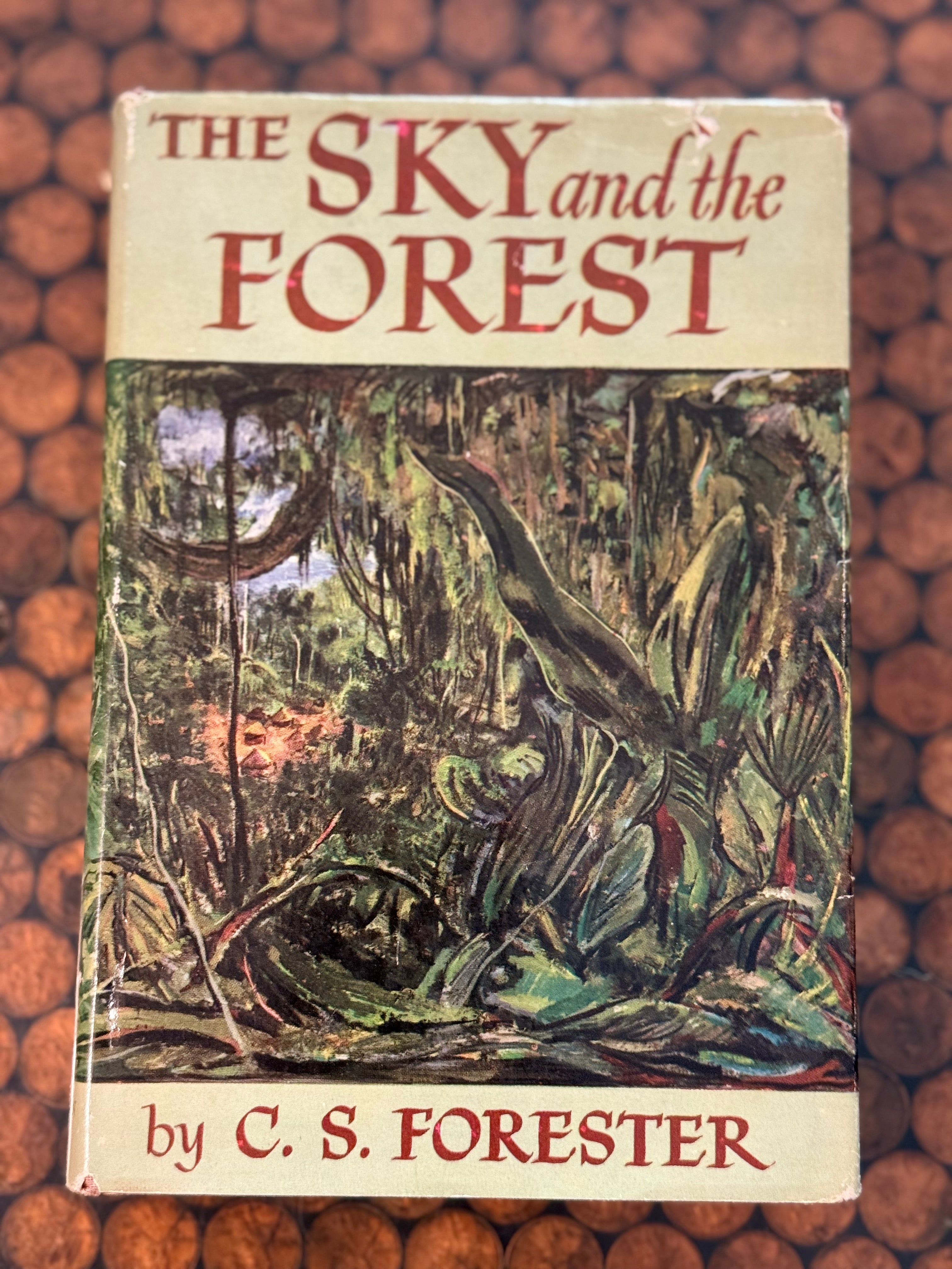 The Sky and the Forest Book