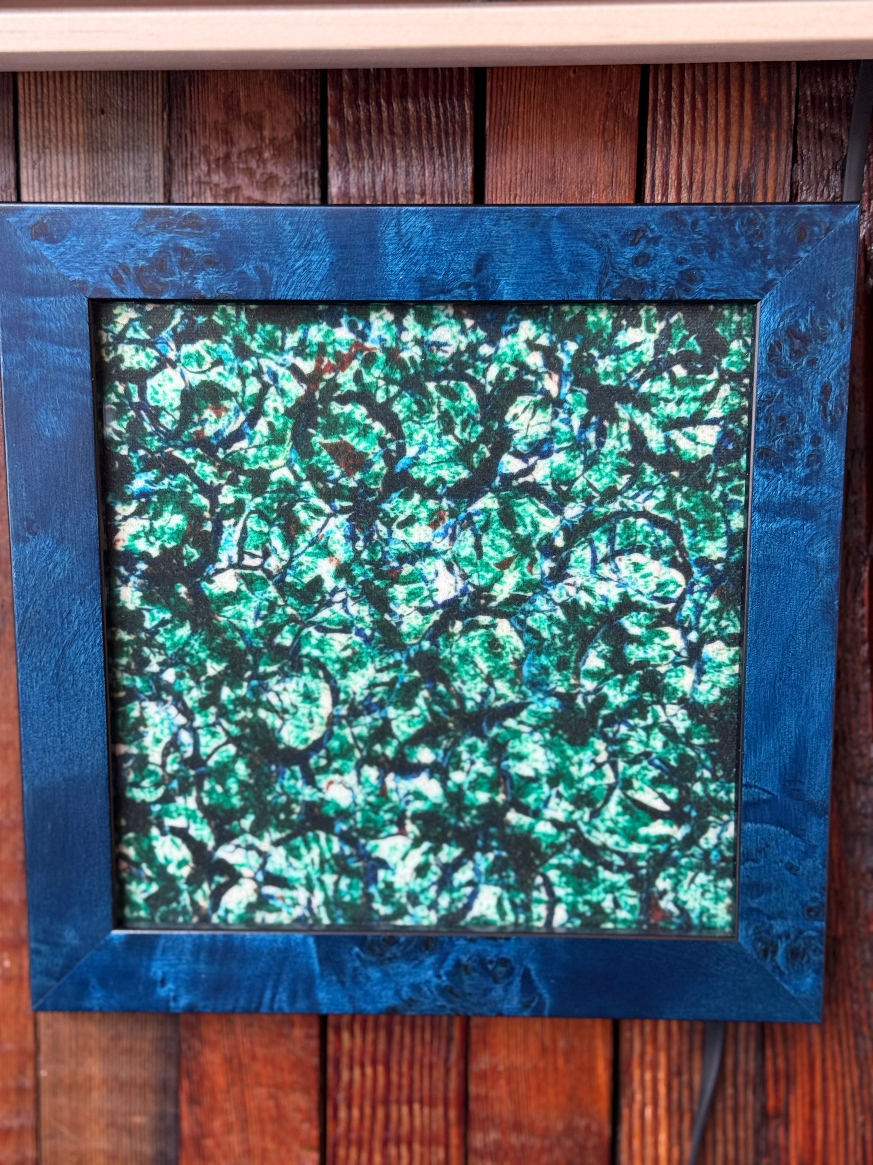 Green tree top on blue marled frame