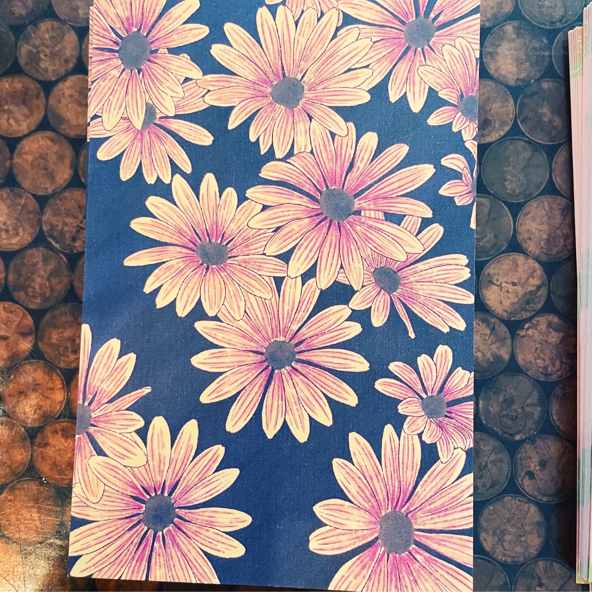 Cape Marguerite Daisies Postcard