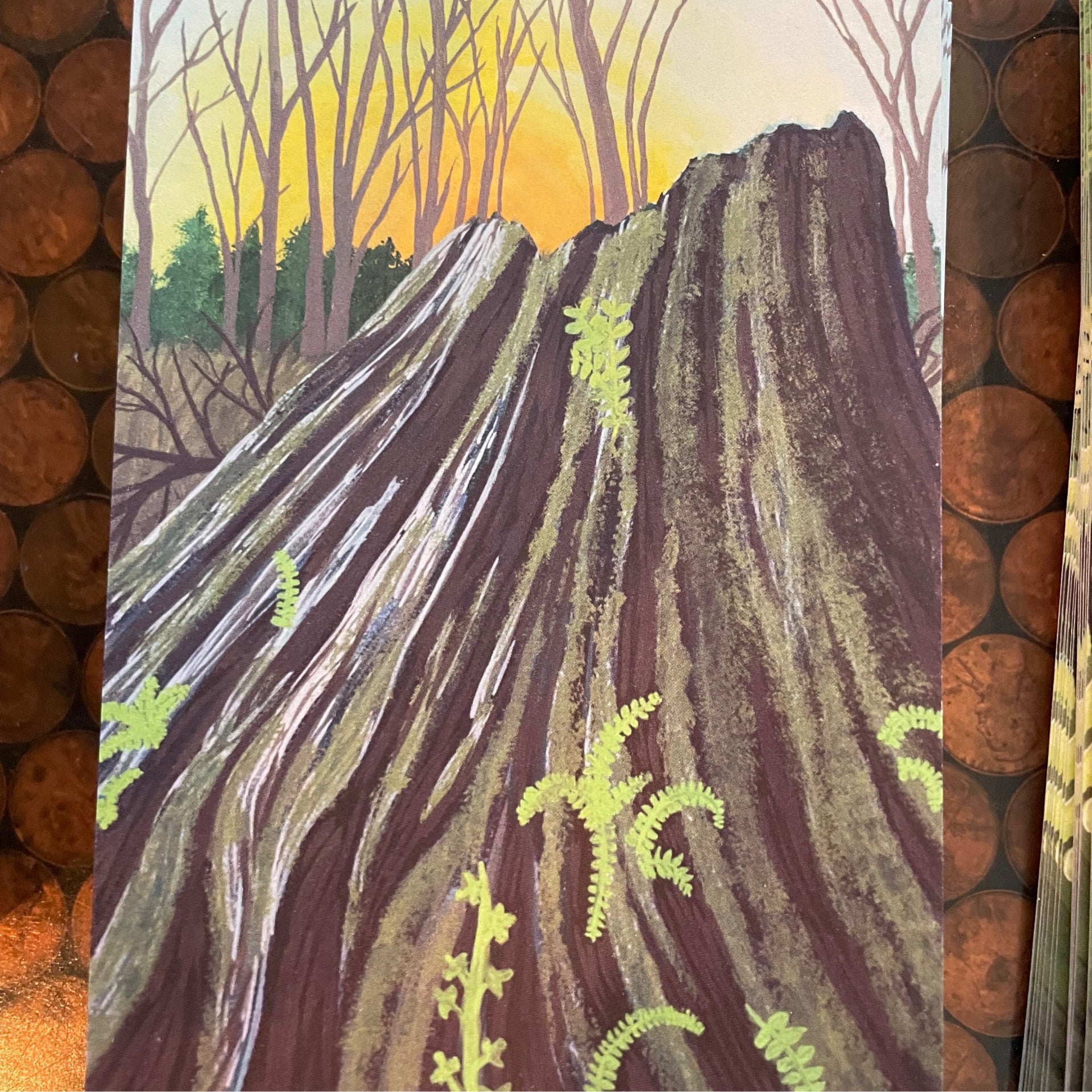 Stumped Postcard