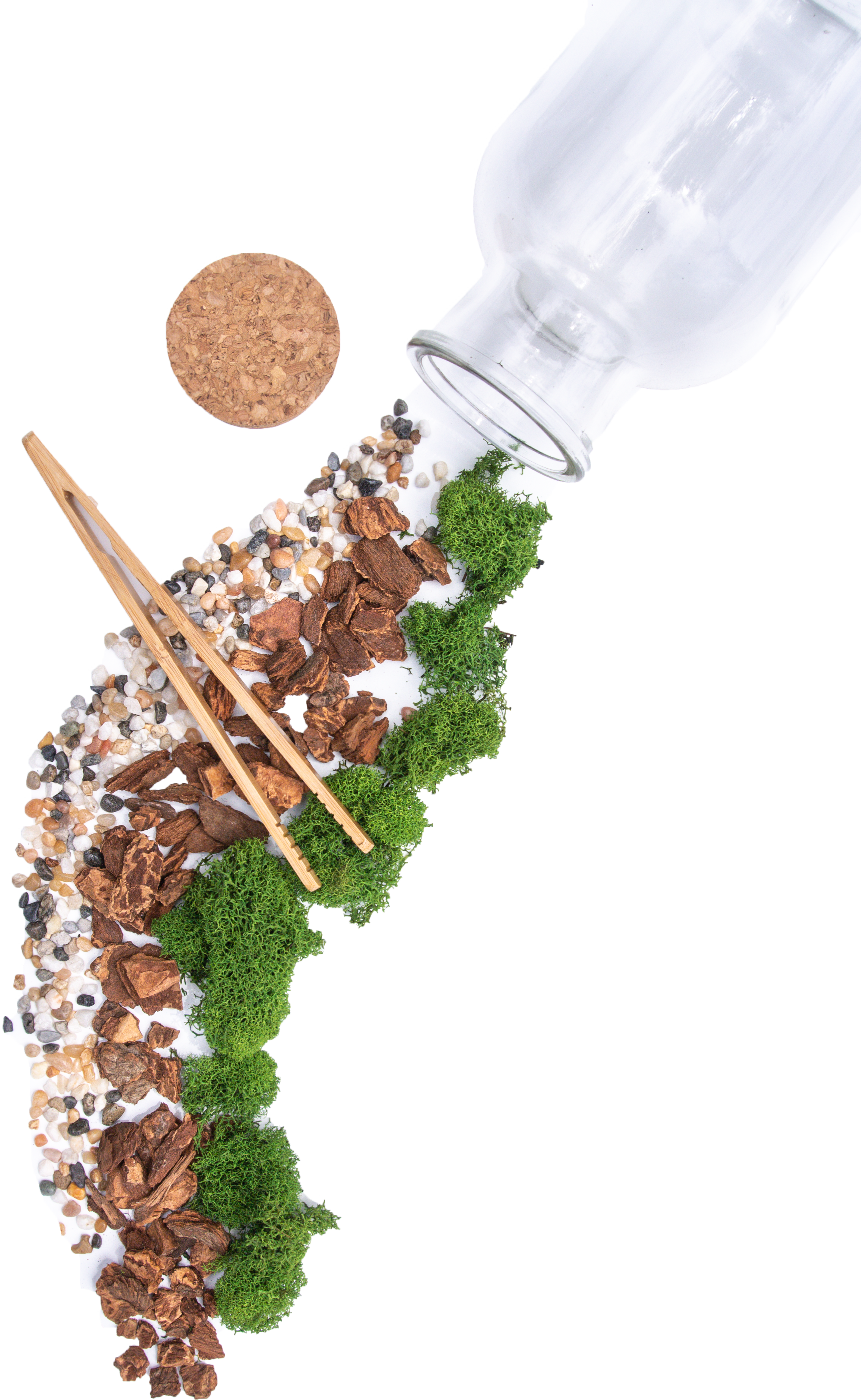 DIY Large Jar Terrarium with Soil and Moss Garden Crafts Kit, photo 5 of 5