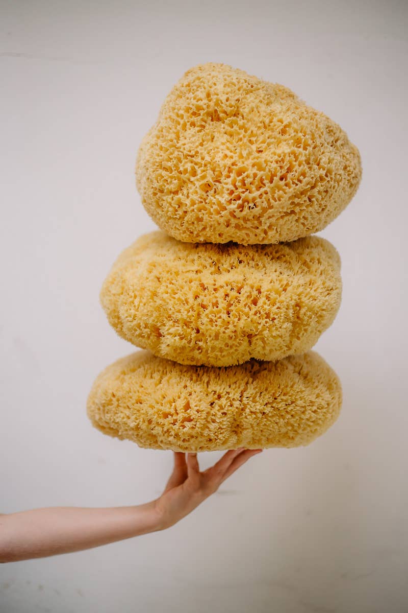 Sustainable natural sponge, photo 7 of 8