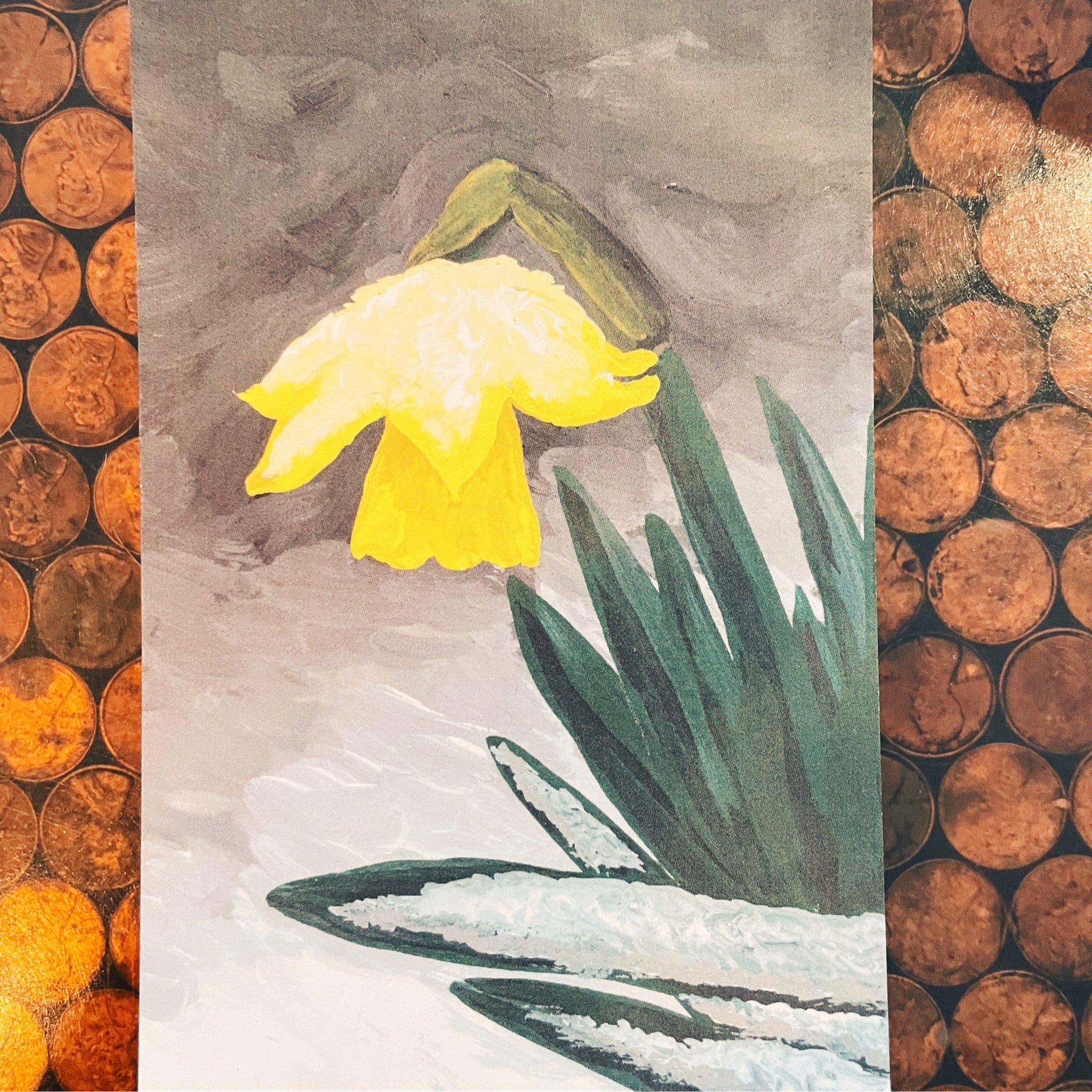 Winter Becomes Spring Daffodil Postcard