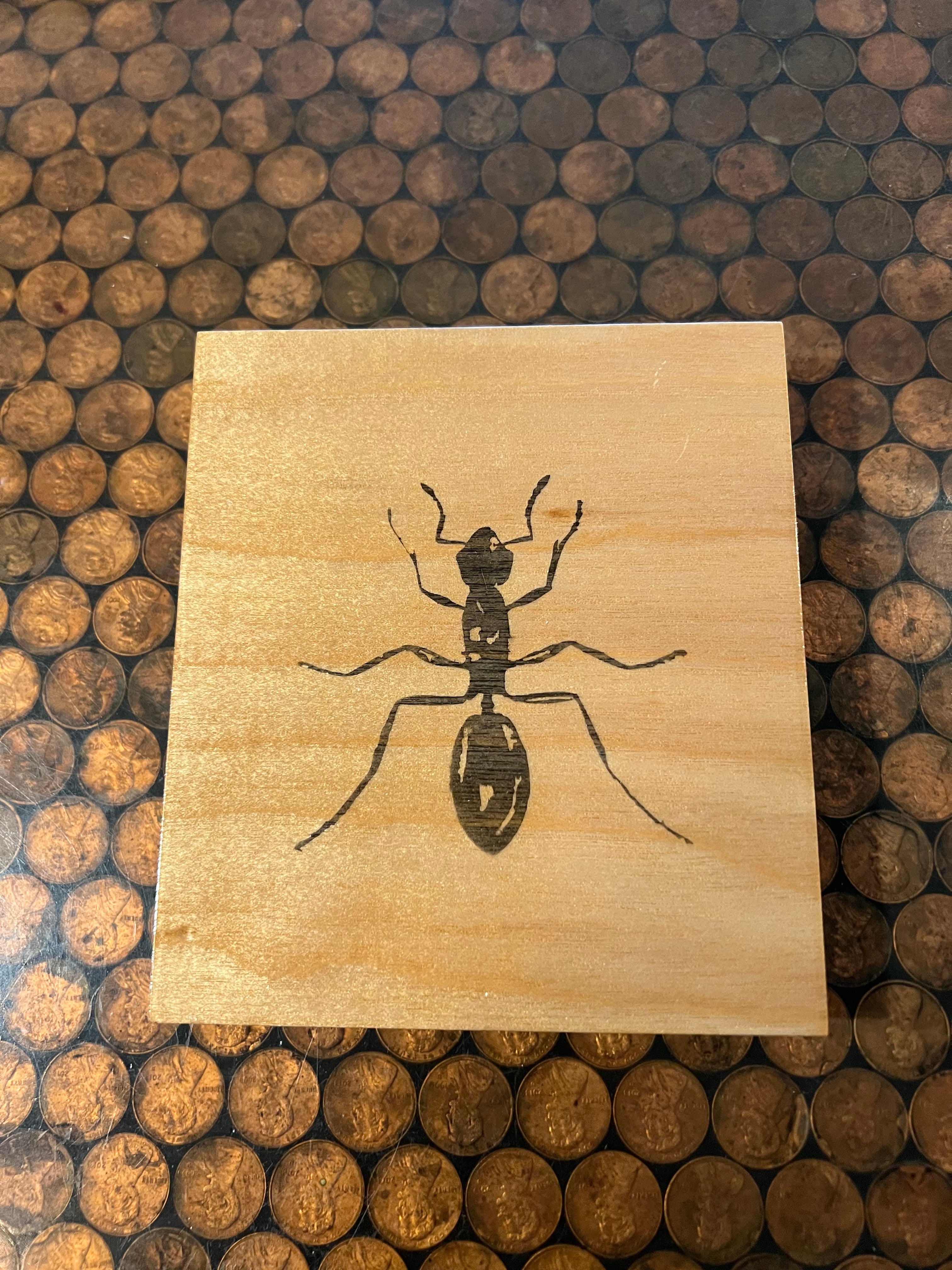 Medium bug art piece