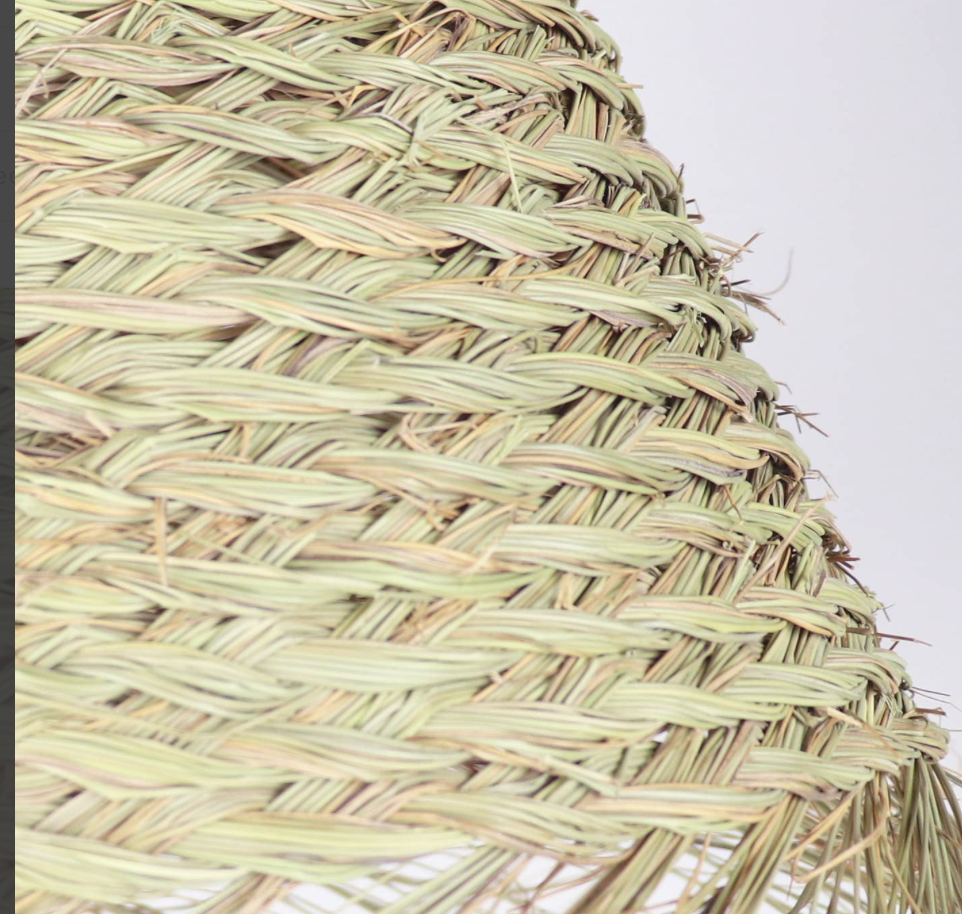 Sahara grass light pendant lamp