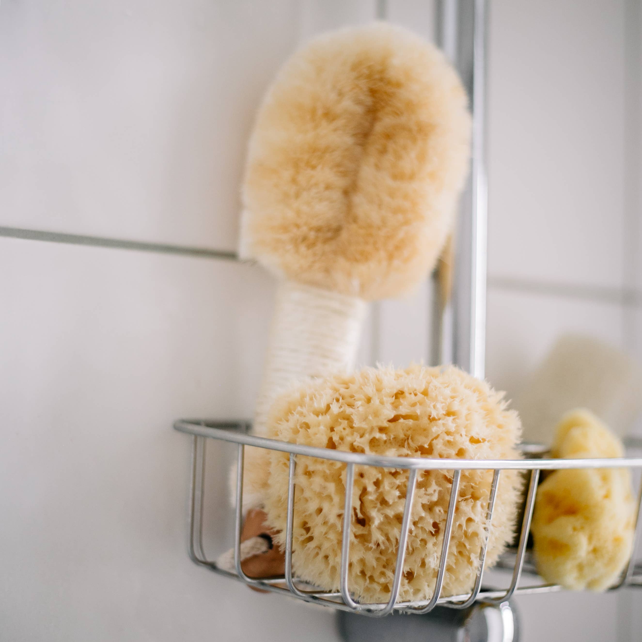 Sustainable natural sponge, photo 5 of 8