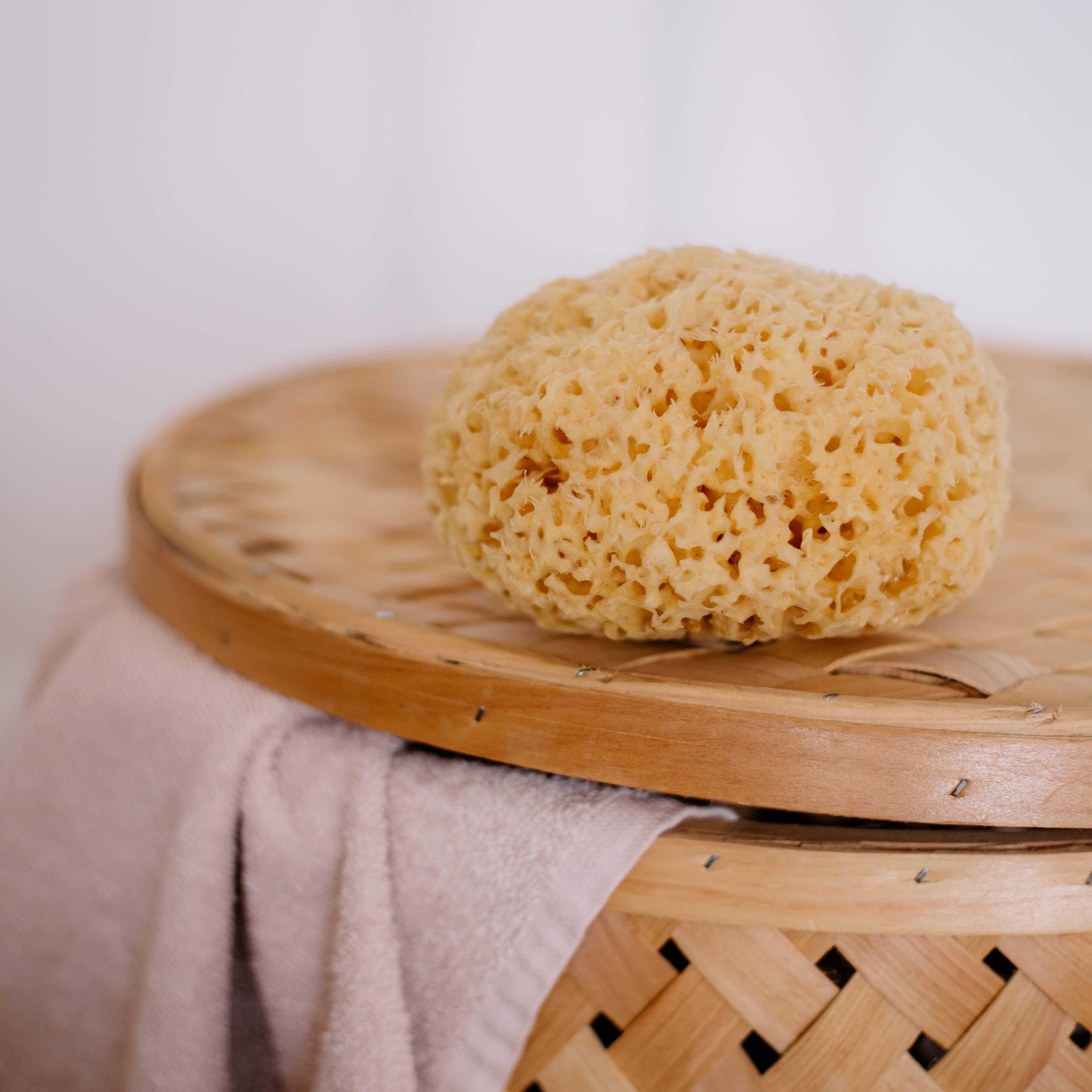 Sustainable natural sponge, photo 3 of 8