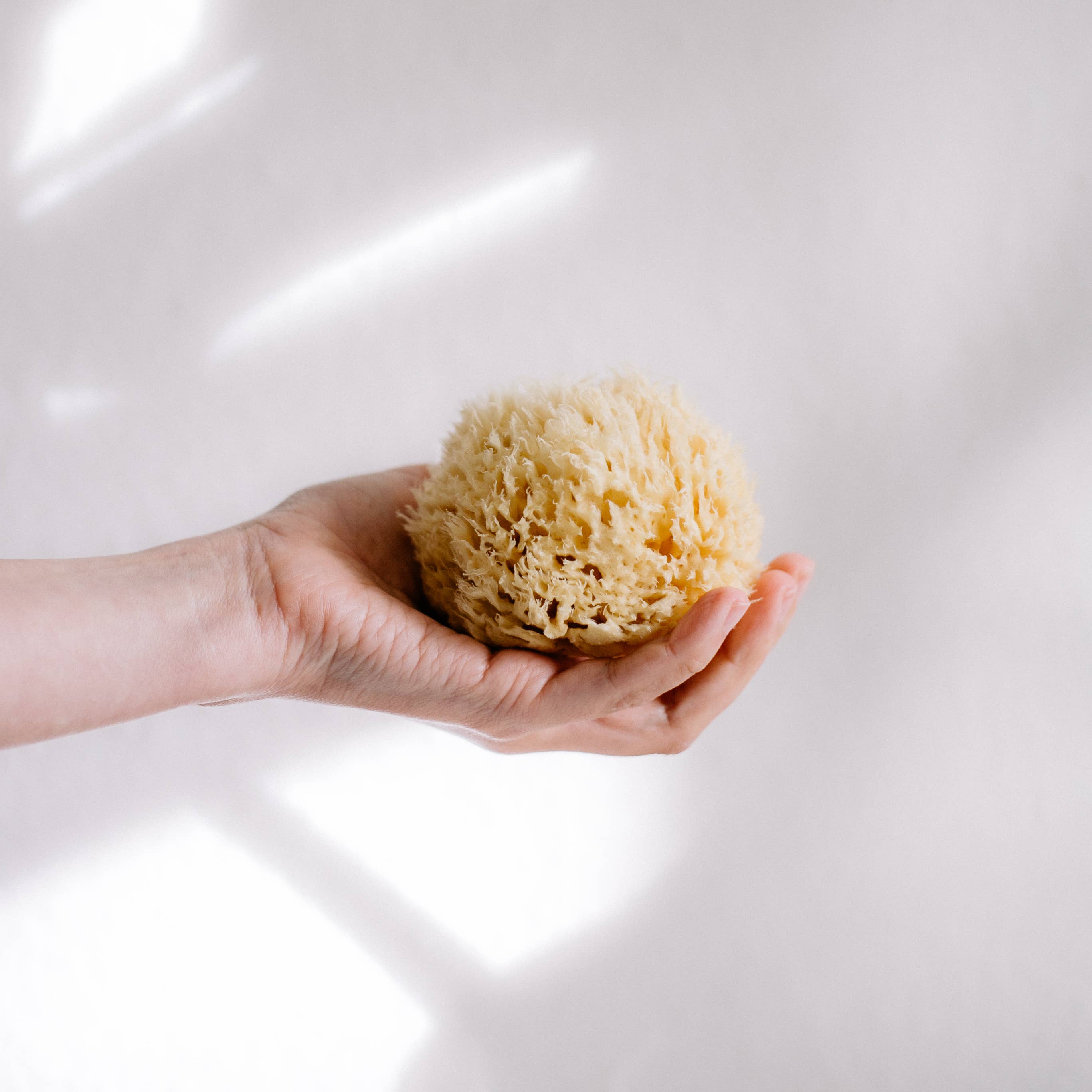 Sustainable natural sponge, photo 2 of 8
