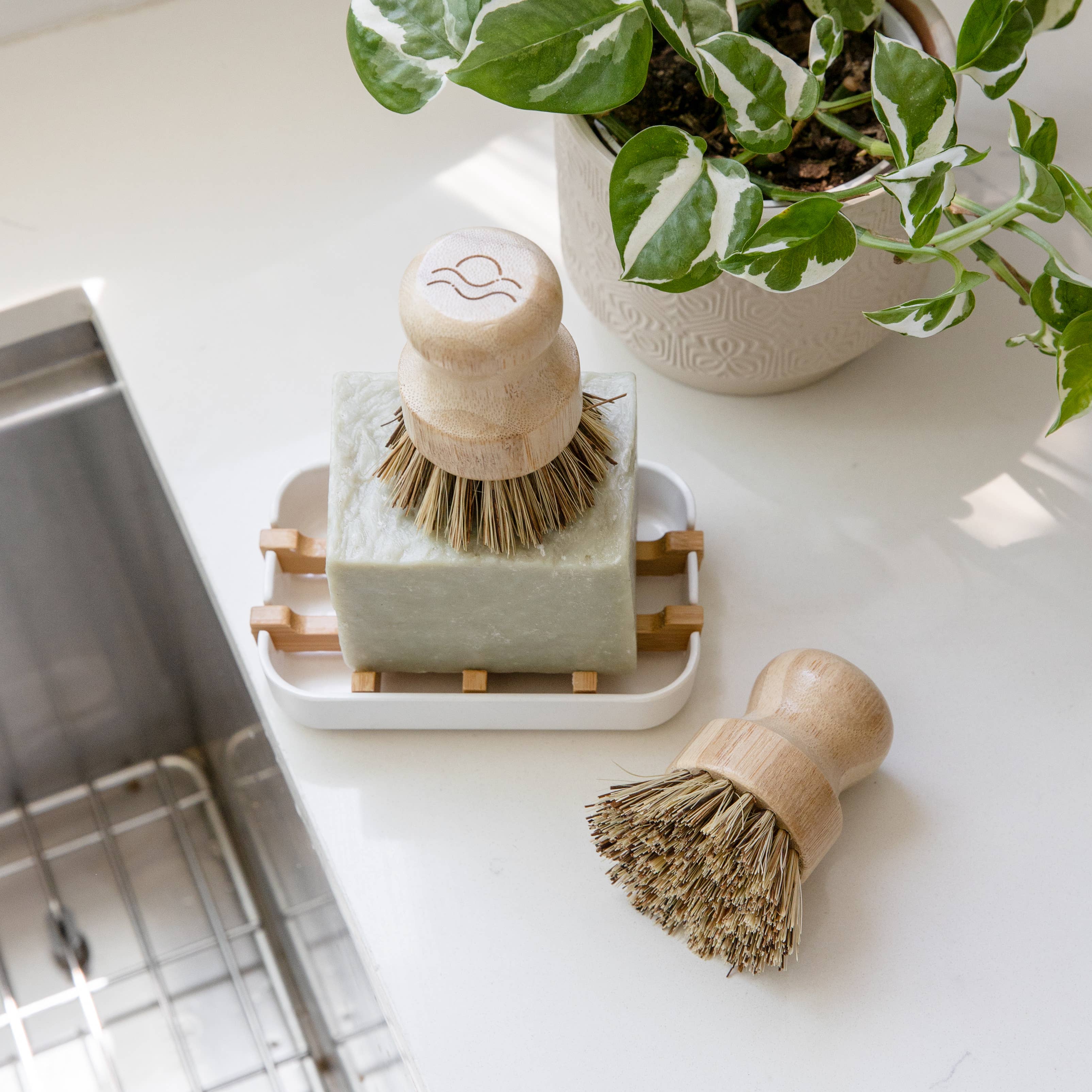 Bamboo Pot Scrubber Brush With Wide Handle | Eco Friendly: One Brush, photo 2 of 6