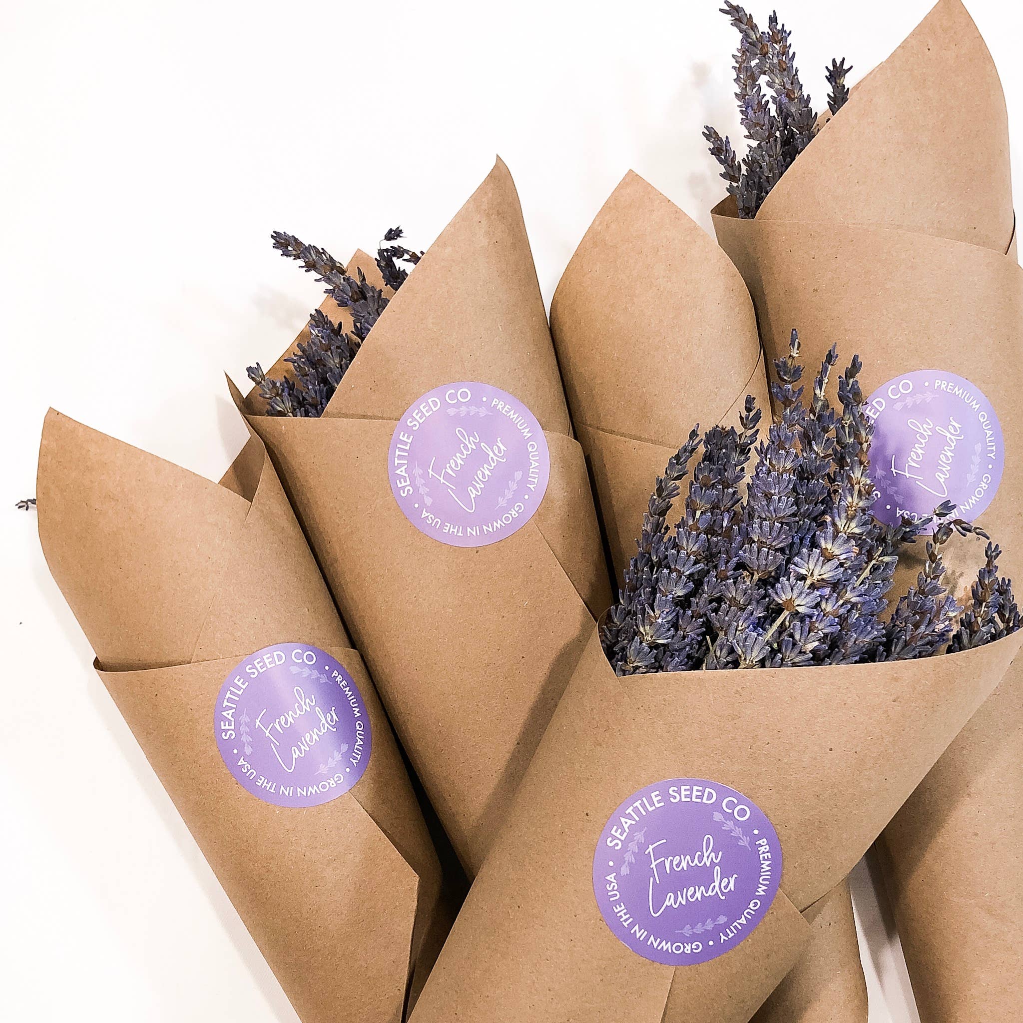 Fragrant Dried Grosso French Lavender Flowers Home Decor: Long Stems, photo 1 of 7
