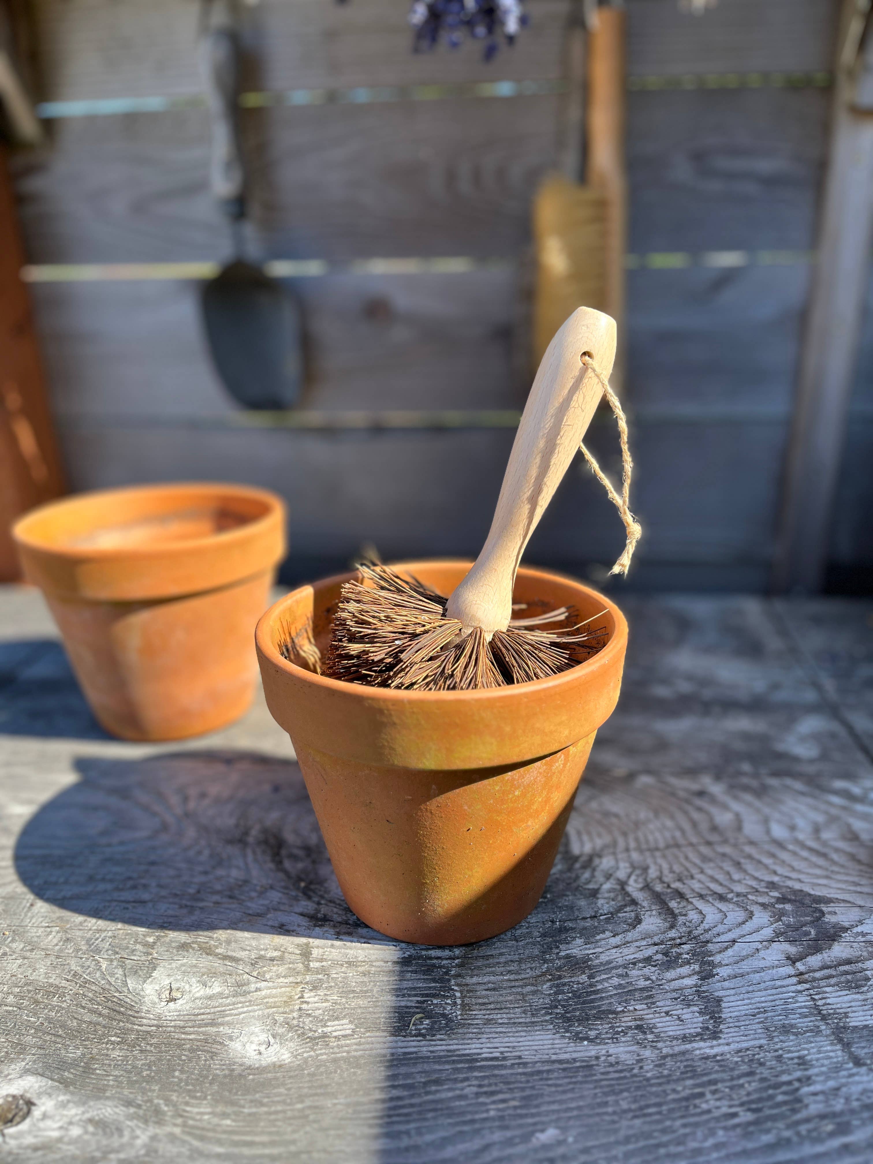 Plant Pot Cleaning Brush, photo 2 of 3