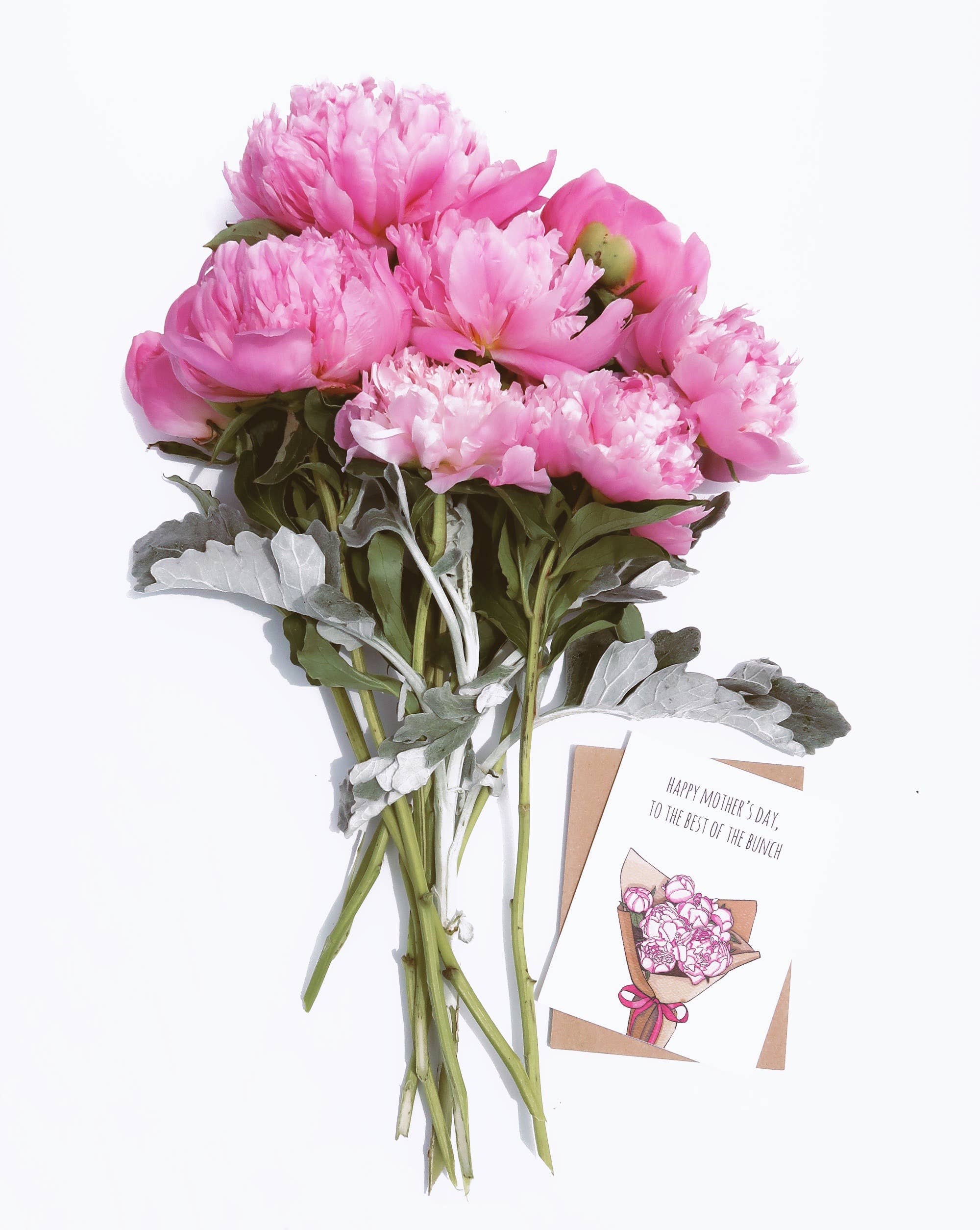 Mother's Day Best Peonies, photo 4 of 4