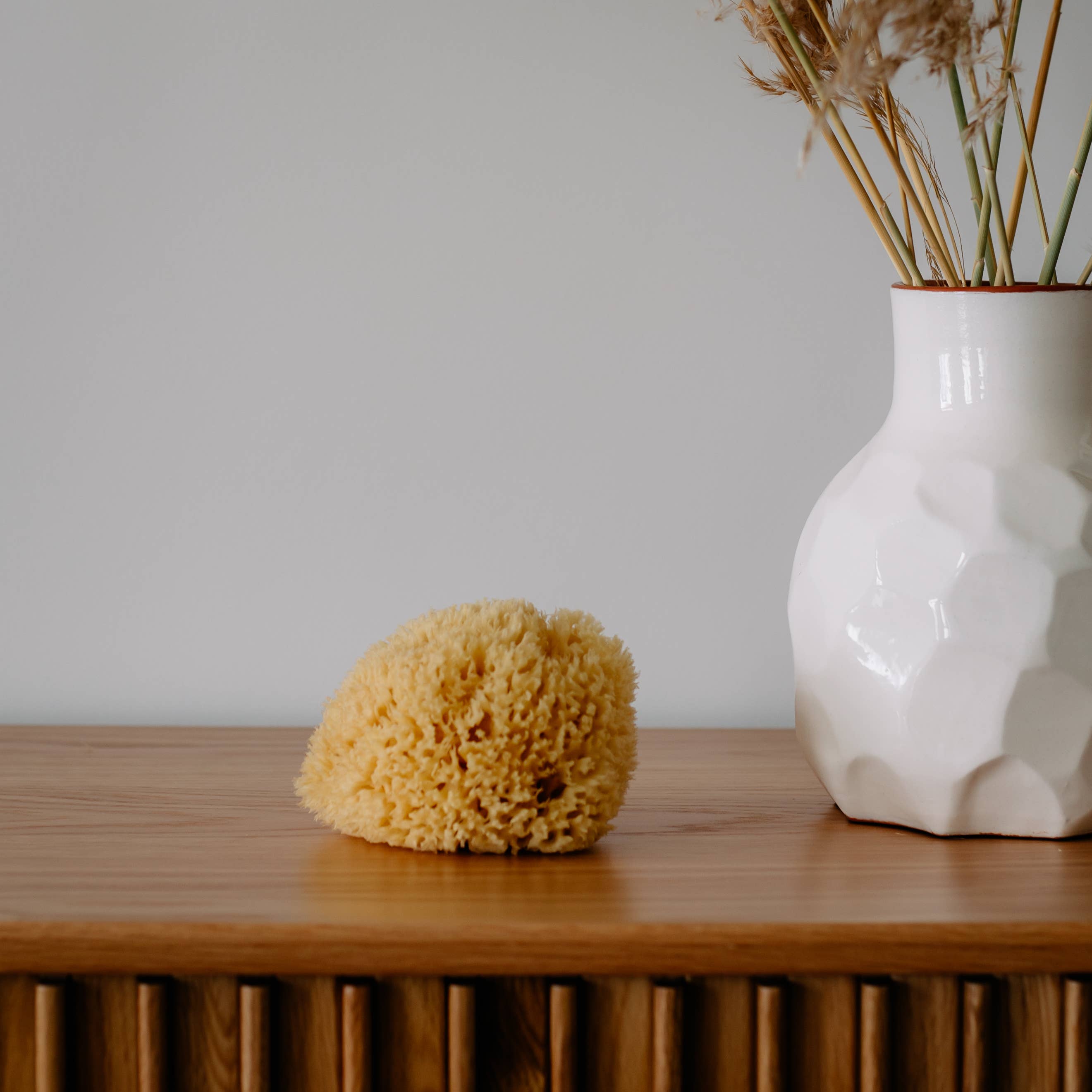 Sustainable natural sponge, photo 8 of 8