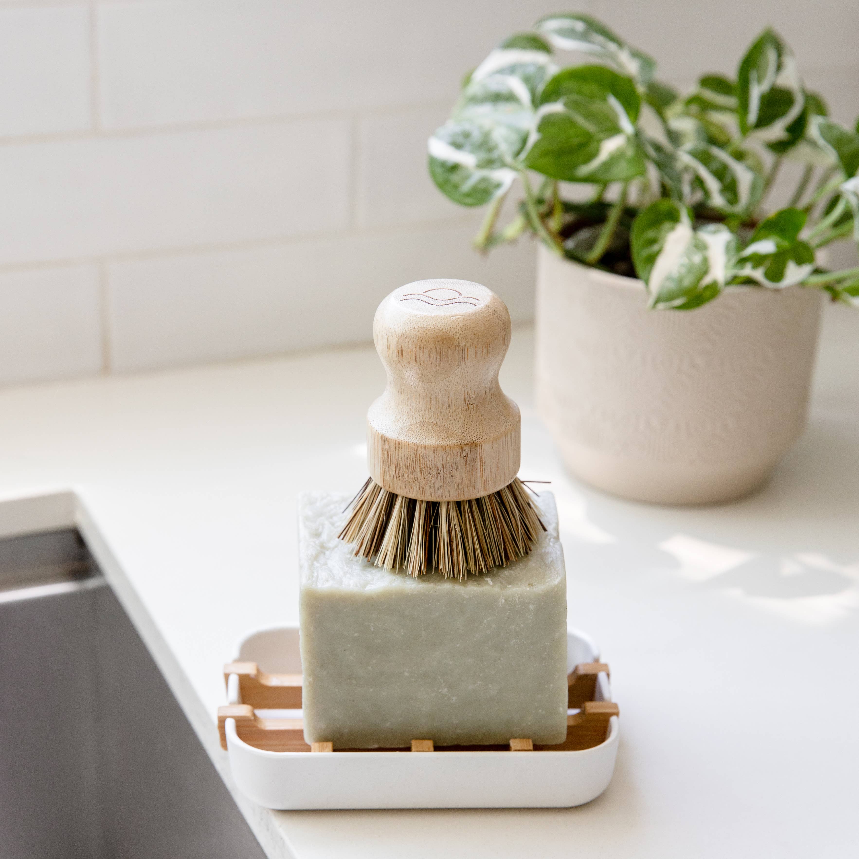 Bamboo Pot Scrubber Brush With Wide Handle | Eco Friendly: One Brush, photo 4 of 6