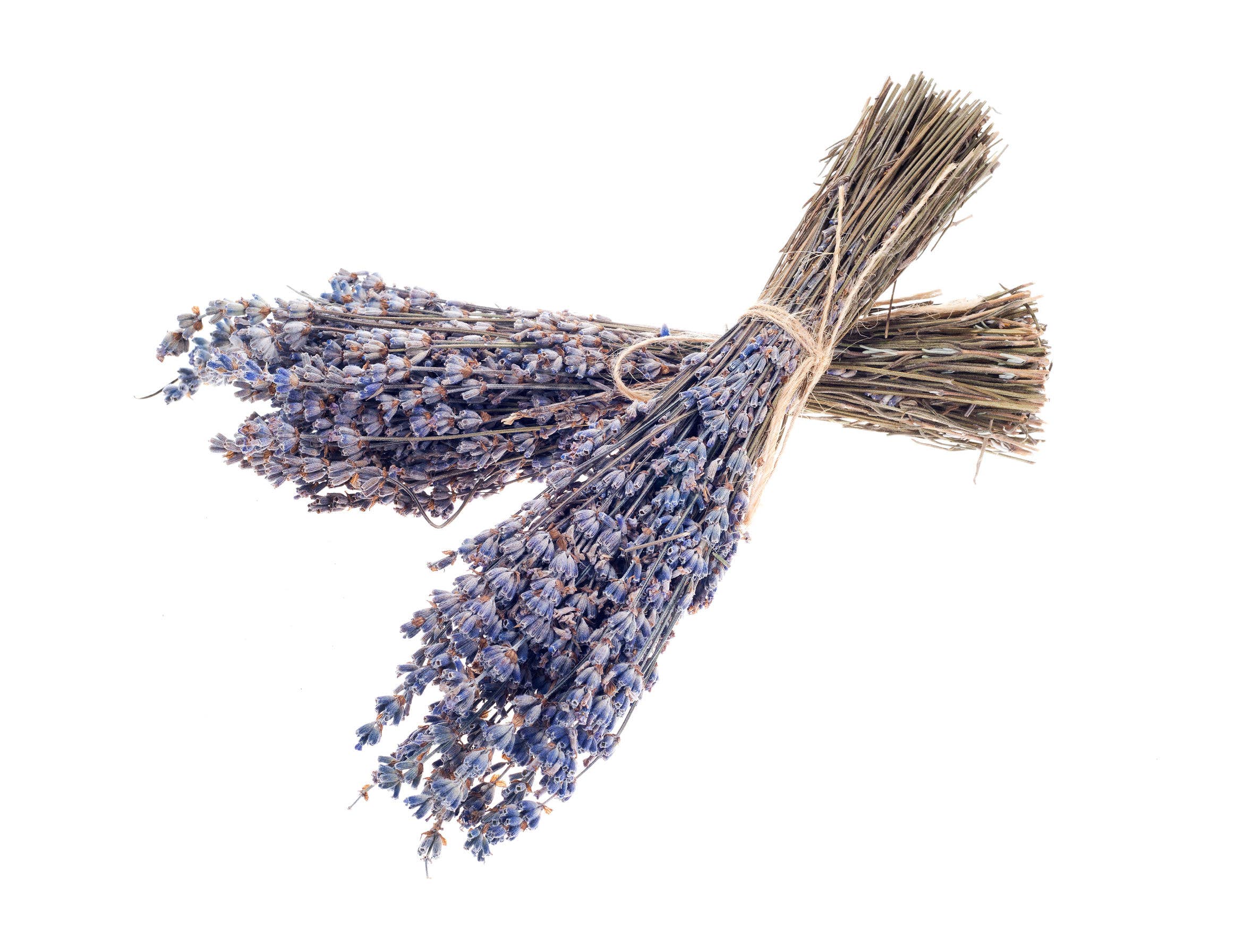 Fragrant Dried Grosso French Lavender Flowers Home Decor: Long Stems, photo 2 of 7
